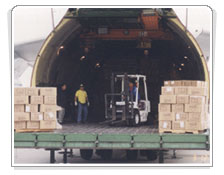 運(yùn)輸隊(duì)伍